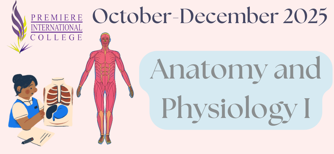 BSC1101 Human Anatomy and Physiology I (October-December 2025)