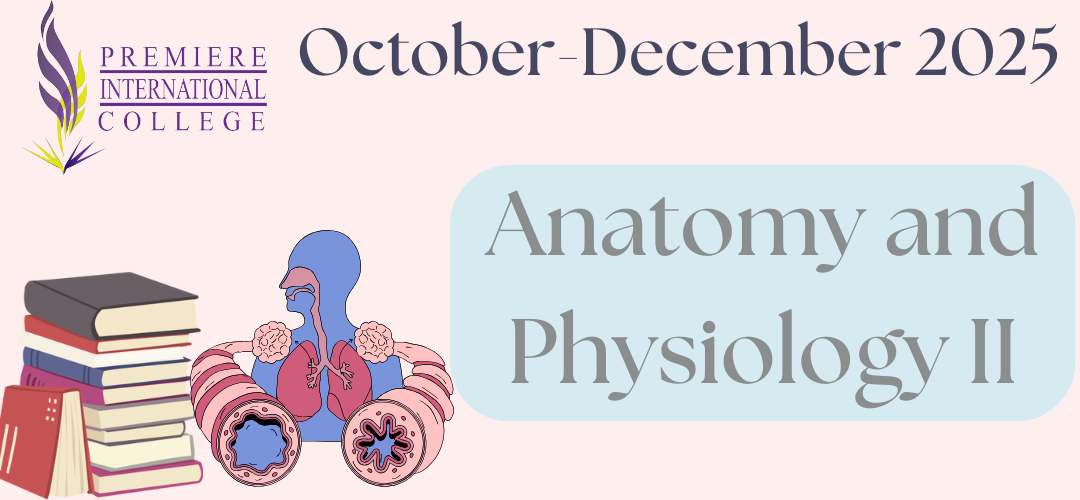 BSC1102 Human Anatomy and Physiology II and Lab (October-December 2025)